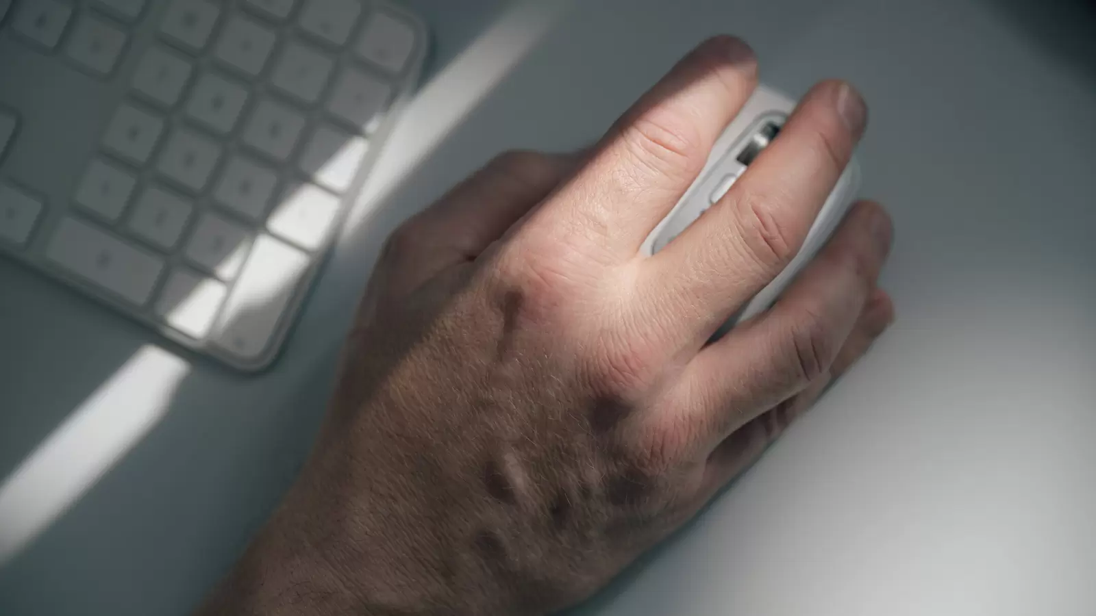 Webshop-Design: Mehr Umsatz durch UX-Optimierung! | zottermedia GmbH